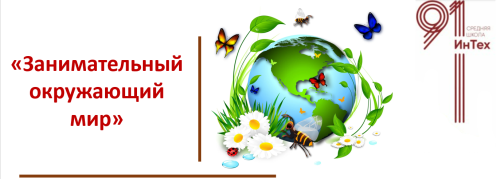 ../../saved/image_167_w500_h179.png